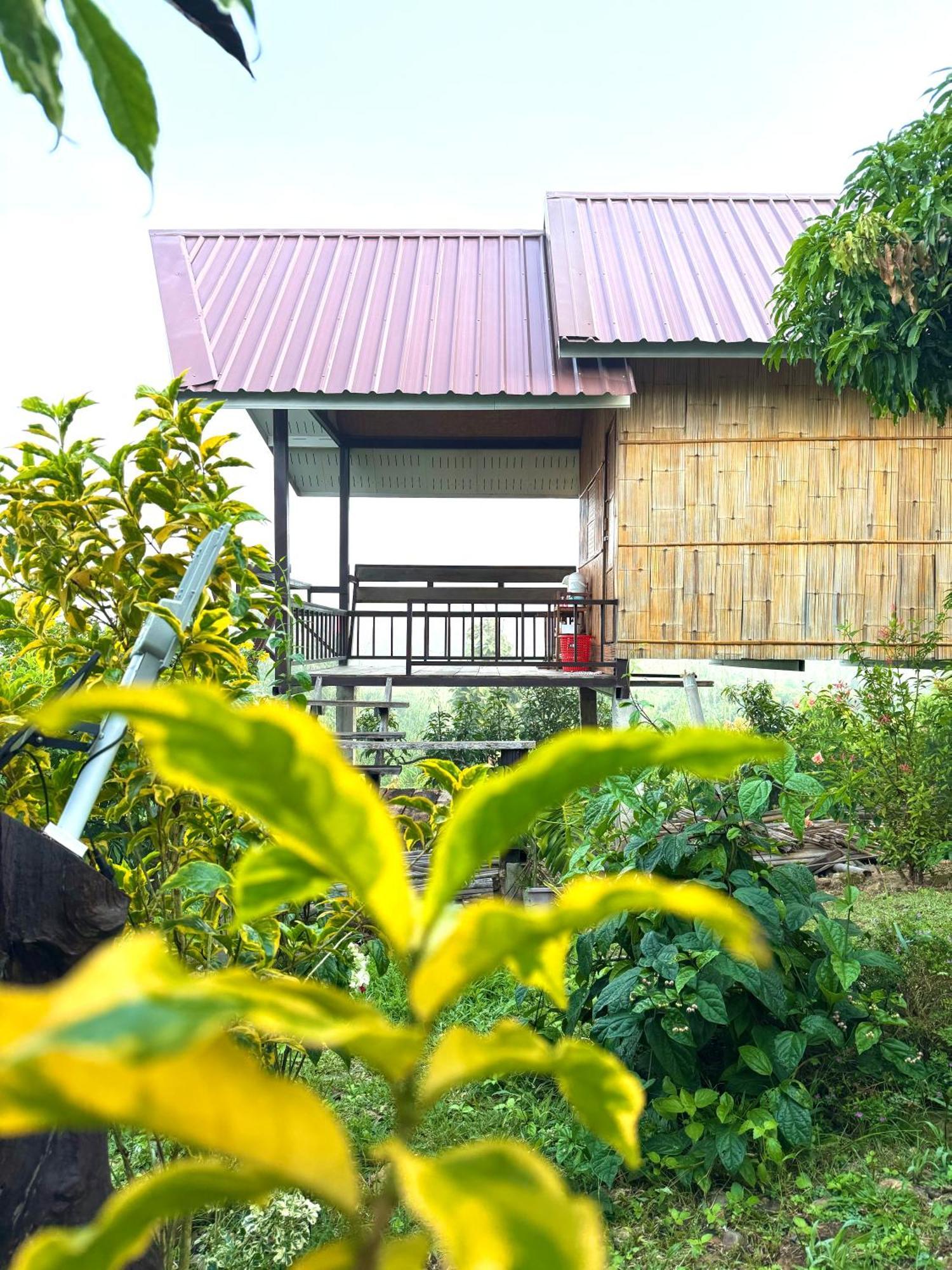 Doicherngngam Home Stay Chiang Dao Exteriér fotografie