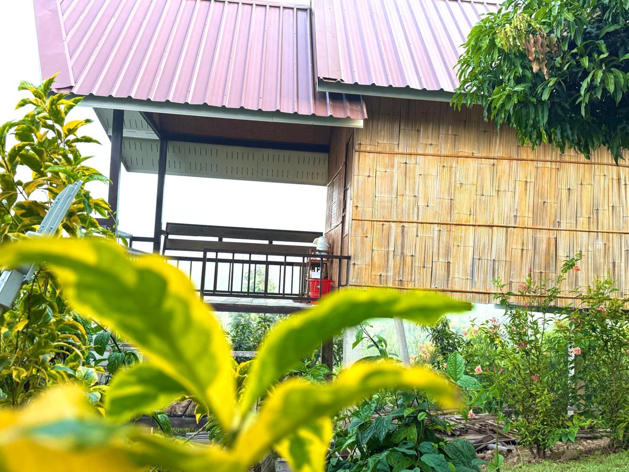 Doicherngngam Home Stay Chiang Dao Exteriér fotografie